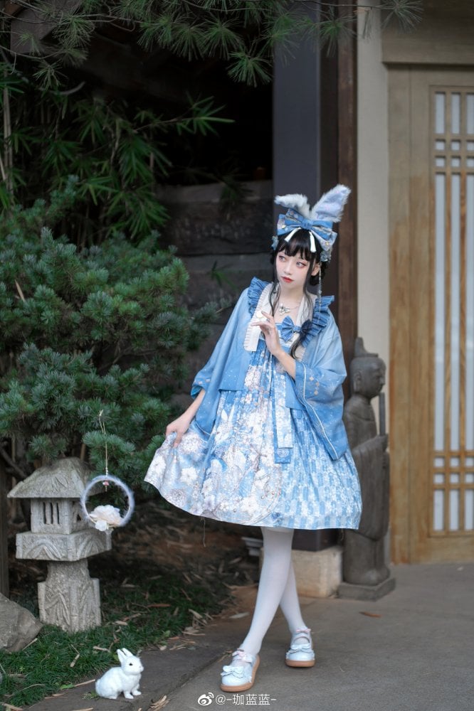 Banquet of the Rabbit Print Wa Lolita Dress Haori