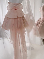 Pink Balletcore Puff Tube Dress with Big Bow Train